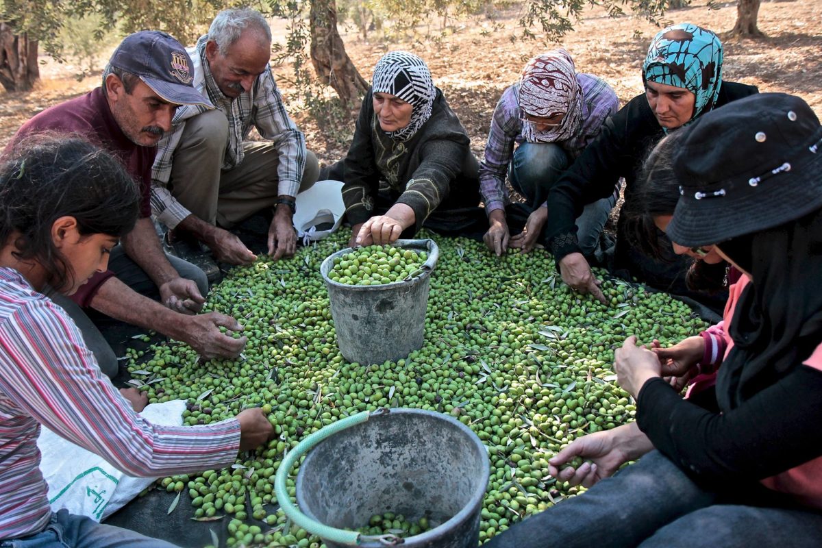 Palestine Fair Trade Australia