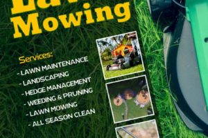 Amer lawn mowing and garden care