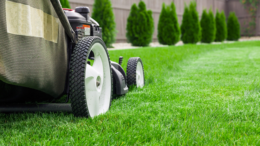 Ziad Lawn Mowing & Gardening Services