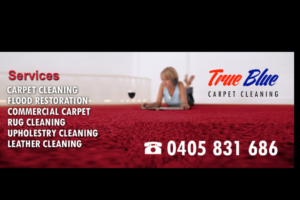 True blue carpet cleaning