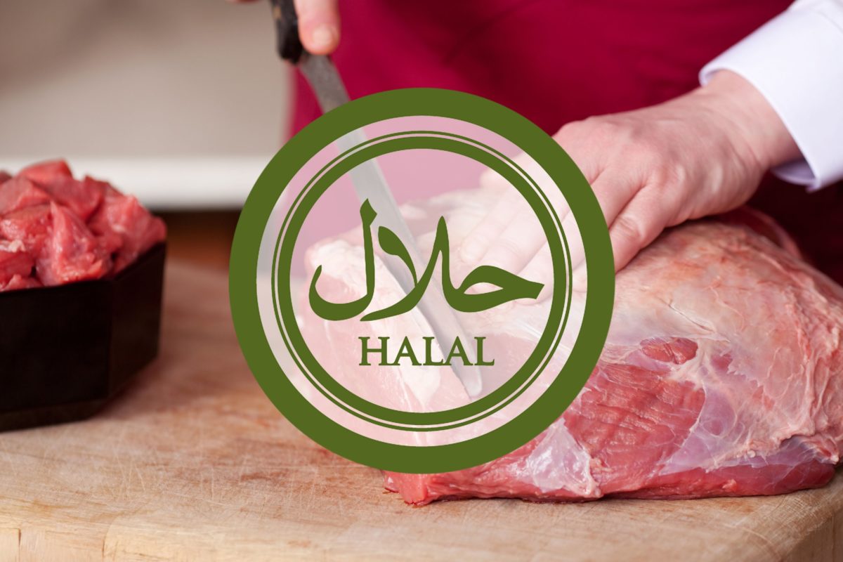 halalllll-15