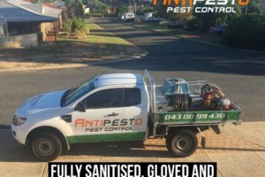 Antipesto Pest Control