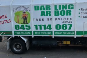 Darling Arbor Tree Services