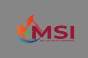 Mold Solutions & Inspections