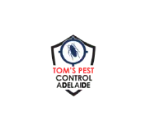 Affordable pest control in Adelaide