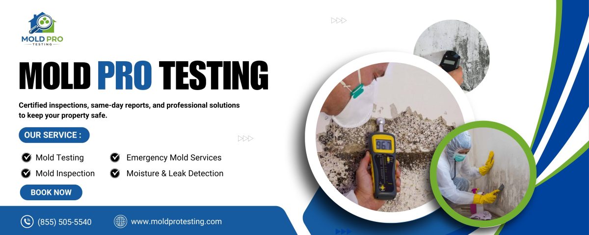 Professional Mold Testing Encino CA